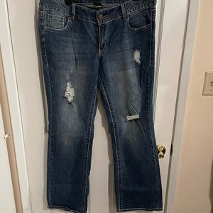 Lane Bryant. Bootcut Jeans. Size 14